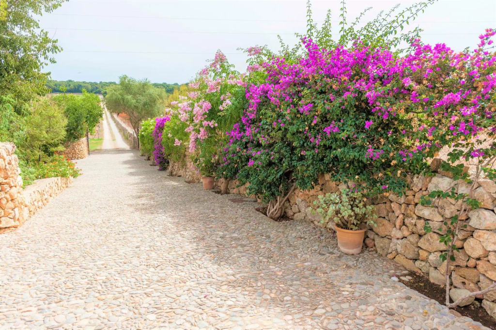 SA MATA GROSSA - Wonderful stone house with great BBQ area and private pool Free WiFi