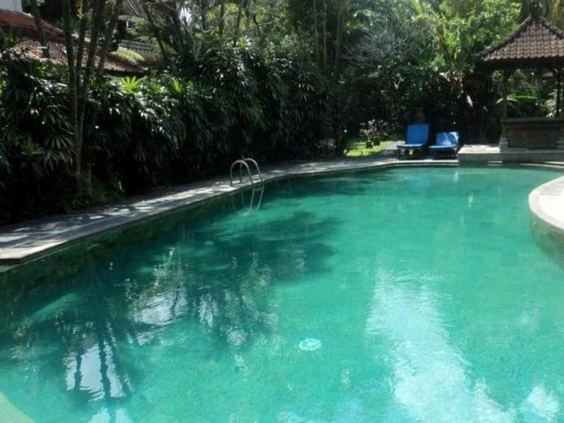 Villa Bhuana Alit Ubud