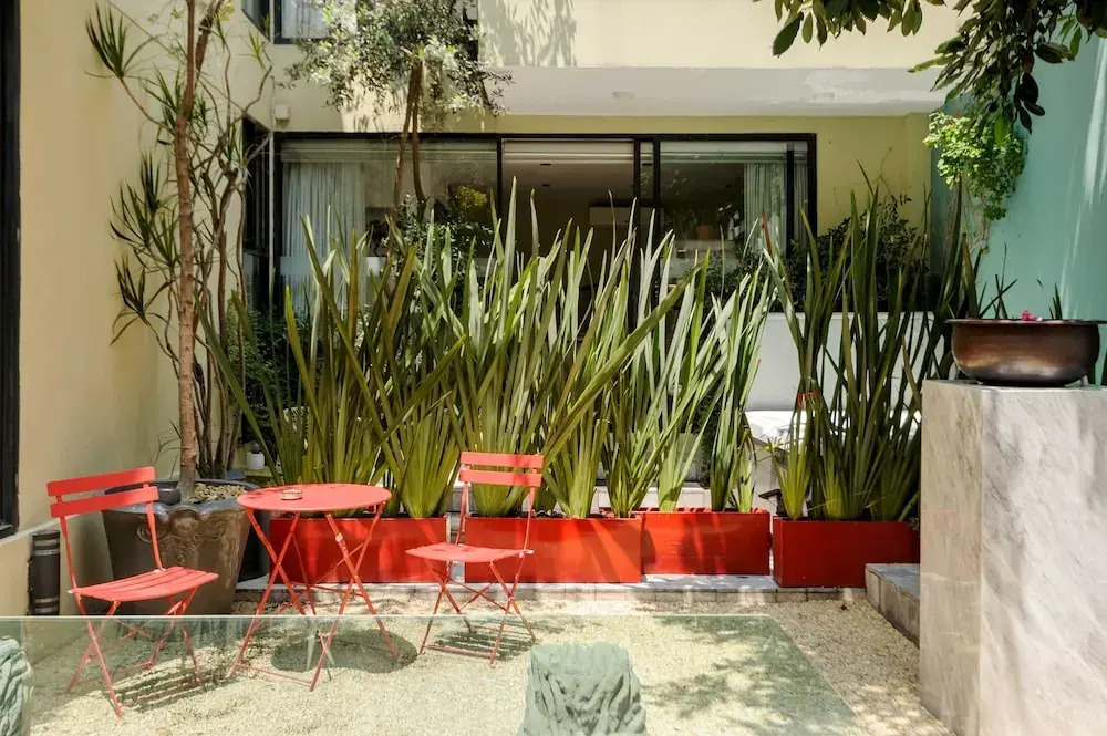 w Inviting 4BR in Condesa