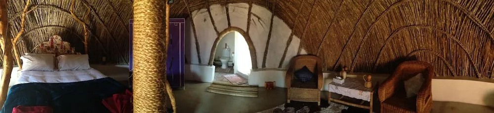 Swazi Dreams