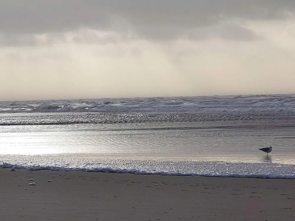 5 Star Holiday Home in Vejers Strand