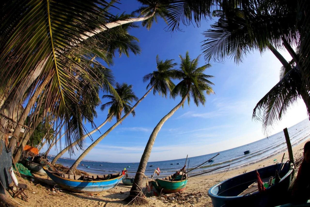 Coral Sea Resort