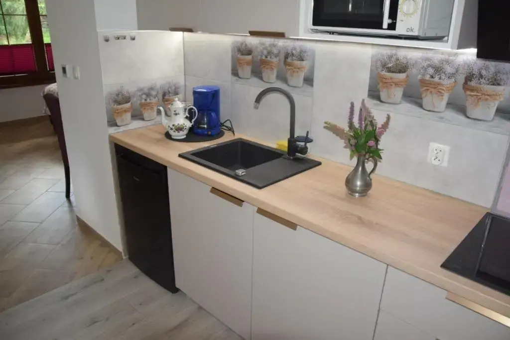 Ferienwohnung Avila , Stadtmitte Karpacz