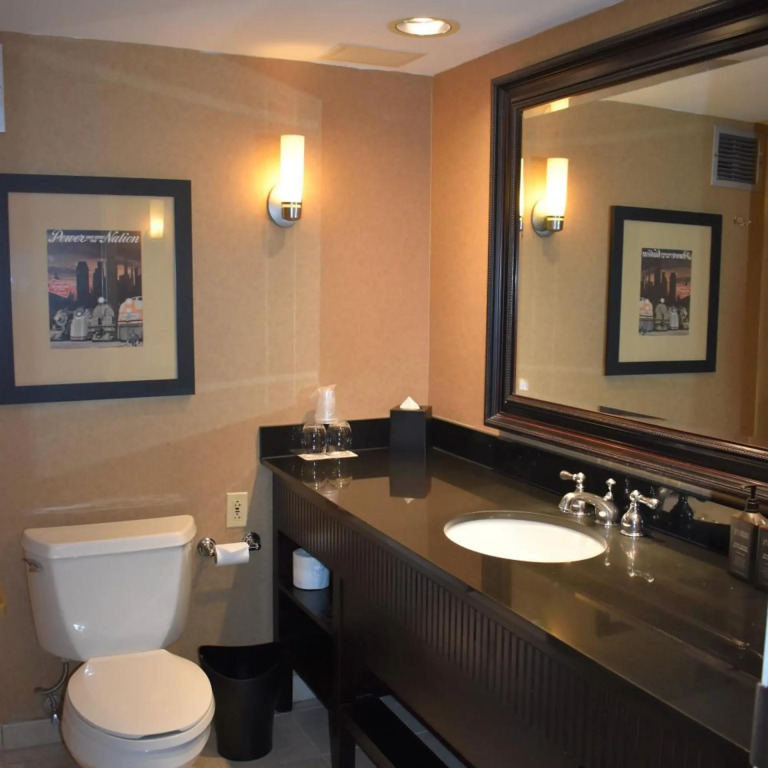 Sheraton Lisle Naperville Hotel
