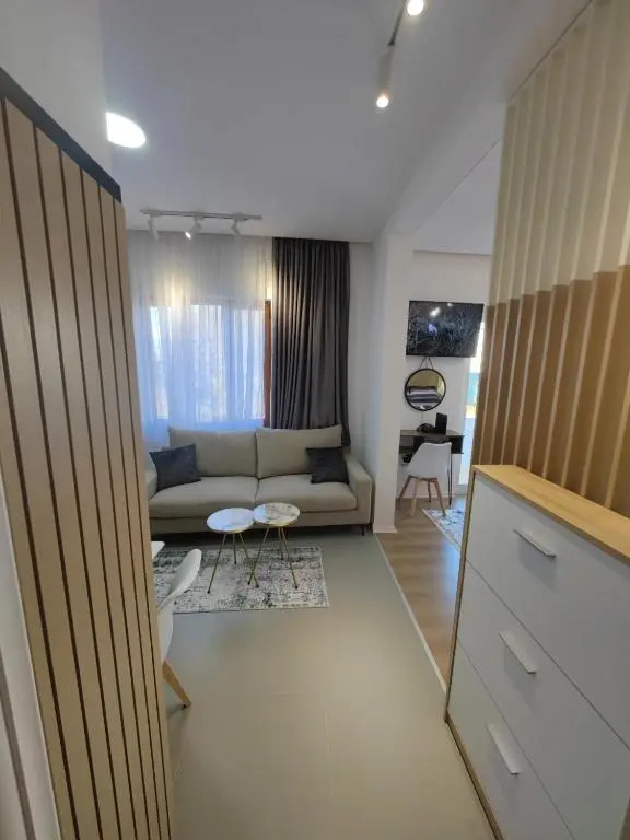 Fully equipped apartment in the city center with a lake view