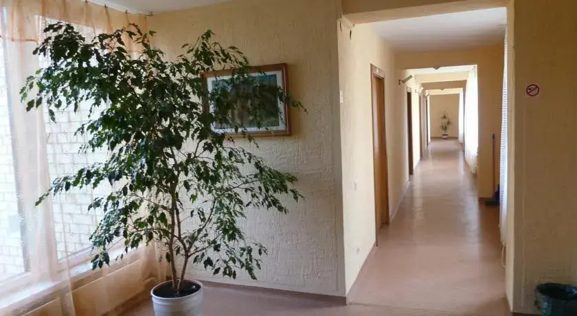 Žara