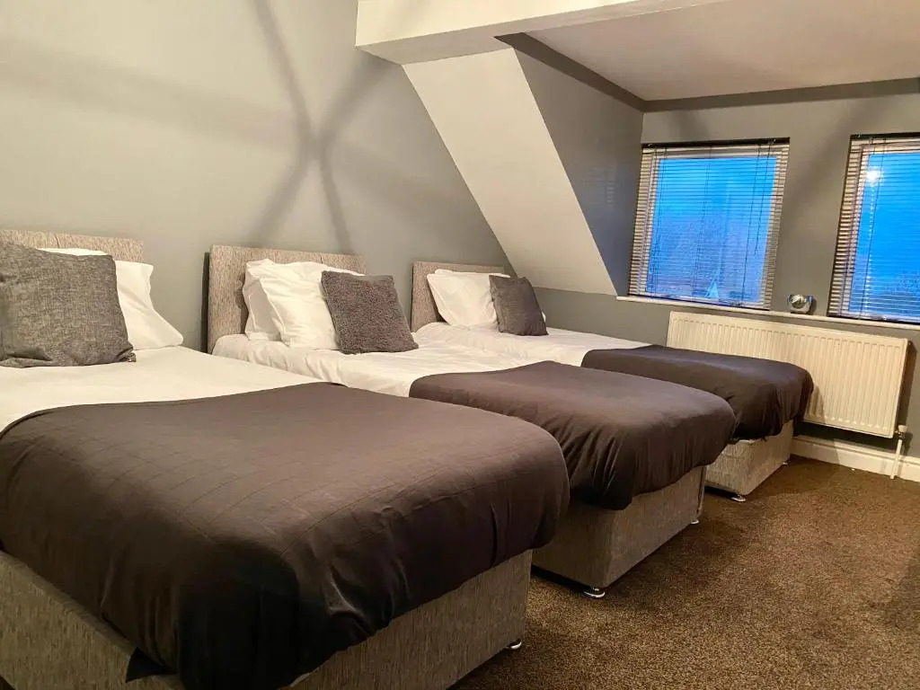 Alpheus Living: Newsham Apartment