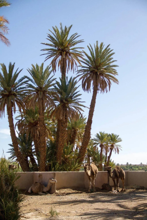 Skoura Lodge