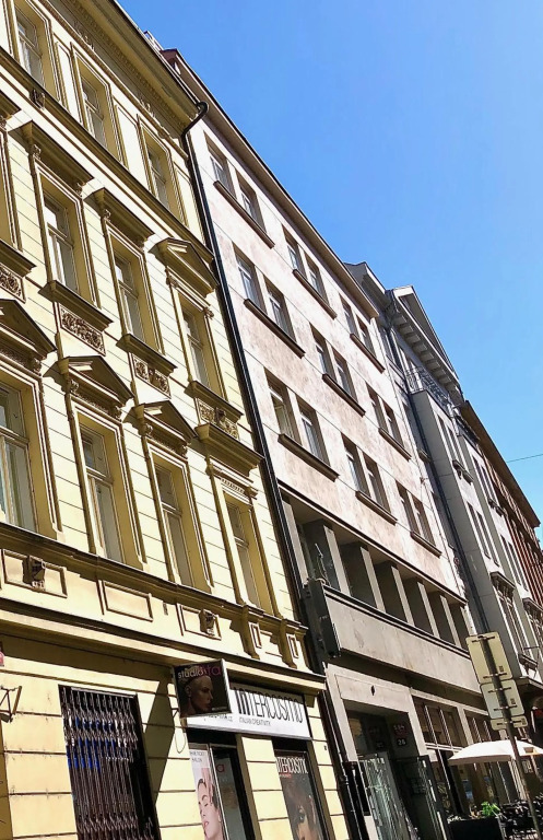 Duplex with quite terrace on Wenceslas sq