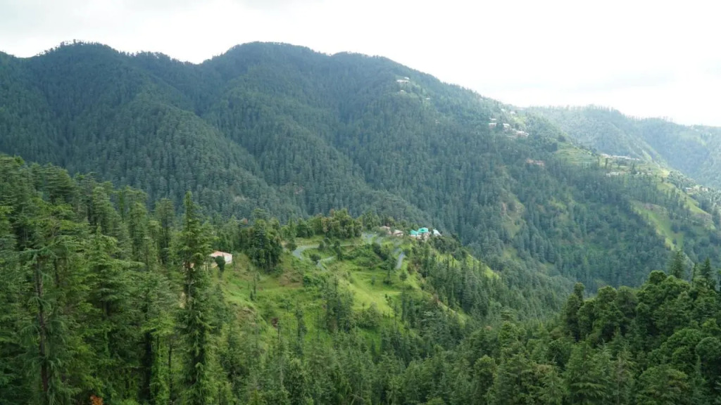 The Jungle Mountain Retreat