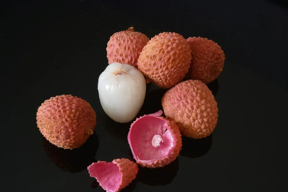 Les Porcelaines