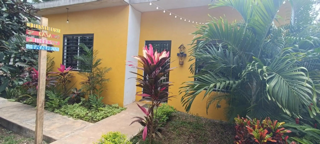 casa flores