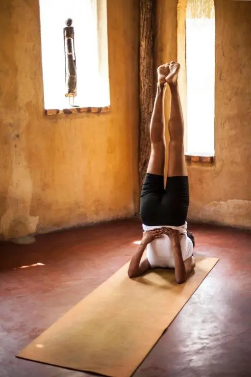 Turtle Cove Lodge and Yoga Shala