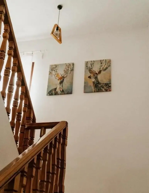 Cabana Laptici - statiunea Pestera-Padina, Bucegi