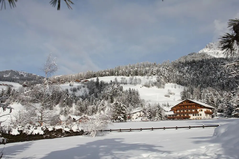 Pension Arnica B&B
