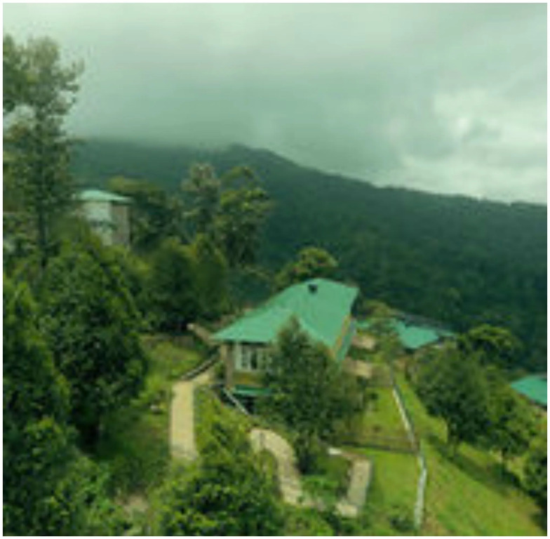Spice Tree Munnar