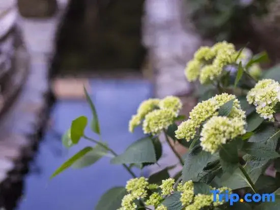 Yue Ji · See Bluestone · Century-old House · Original Qing Song style homestay