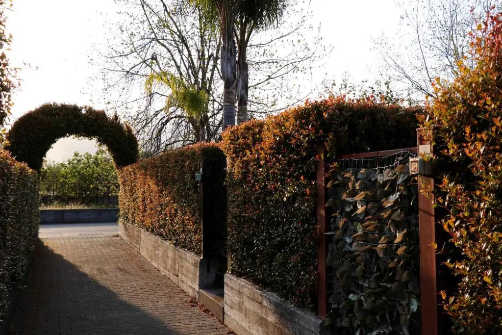 Orchidea apartments