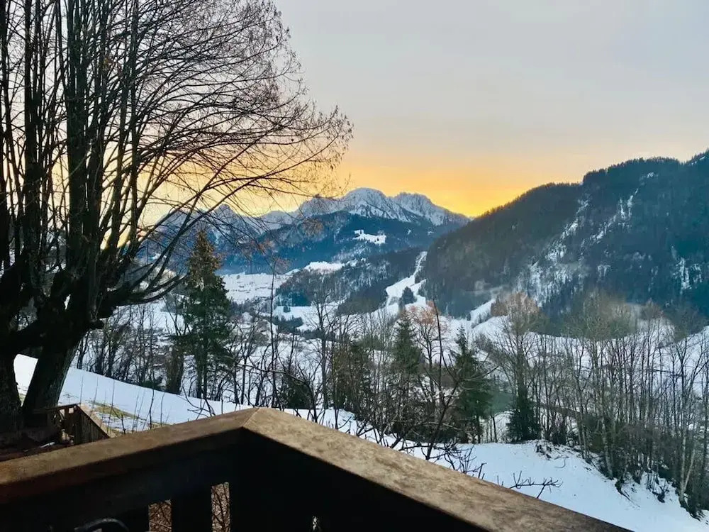 Alps Chalet for Big Group With Sauna Yoga Terrace