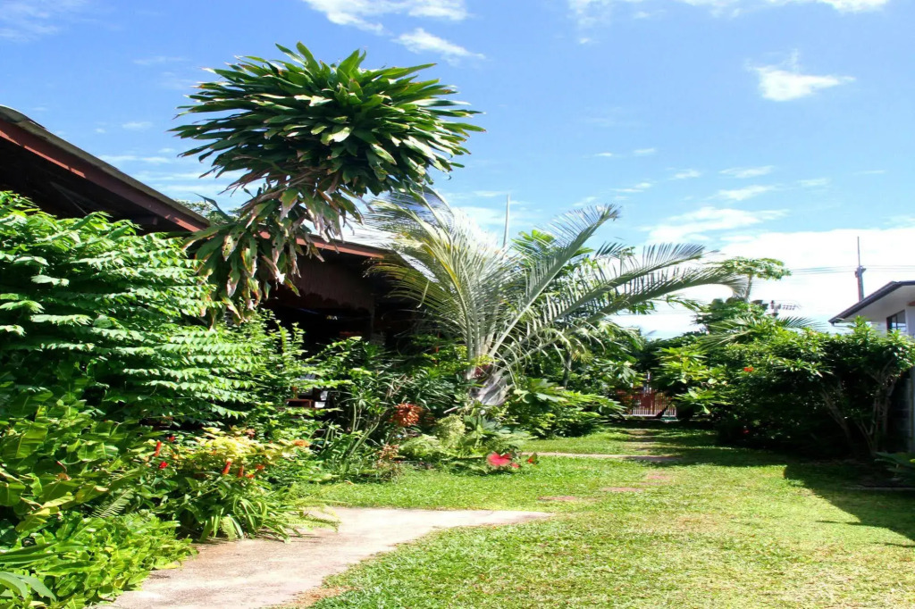The Boardroom Beach Bungalows