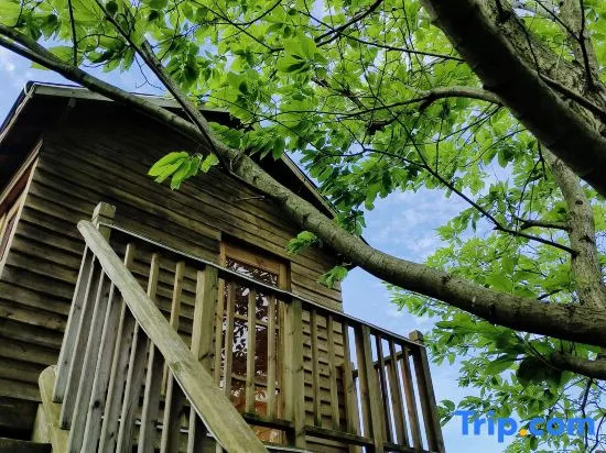 Floral Hotel·Moganshan Natural House Pet Hotel