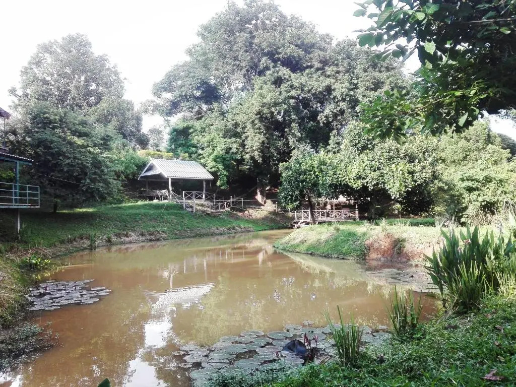 Dreamhome Chiangdao