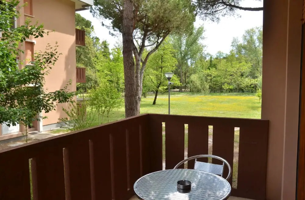 Just Relax in a Green Area Near the Beach