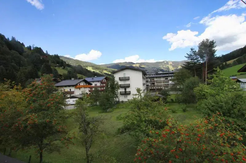 Ferienhaus Alpenhof