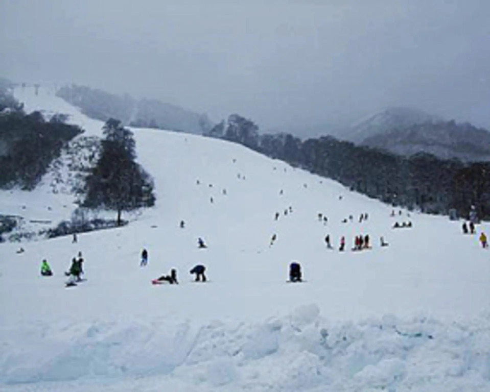 Yuzawa Ski House