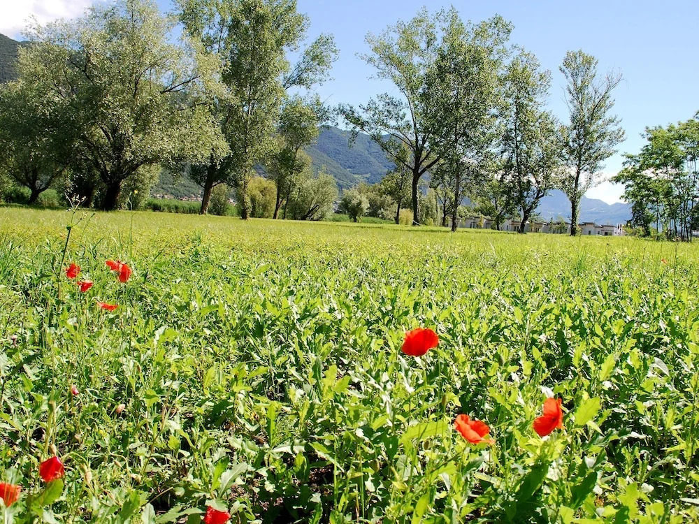 New Residence Near Lake Iseo Surrounded by Green