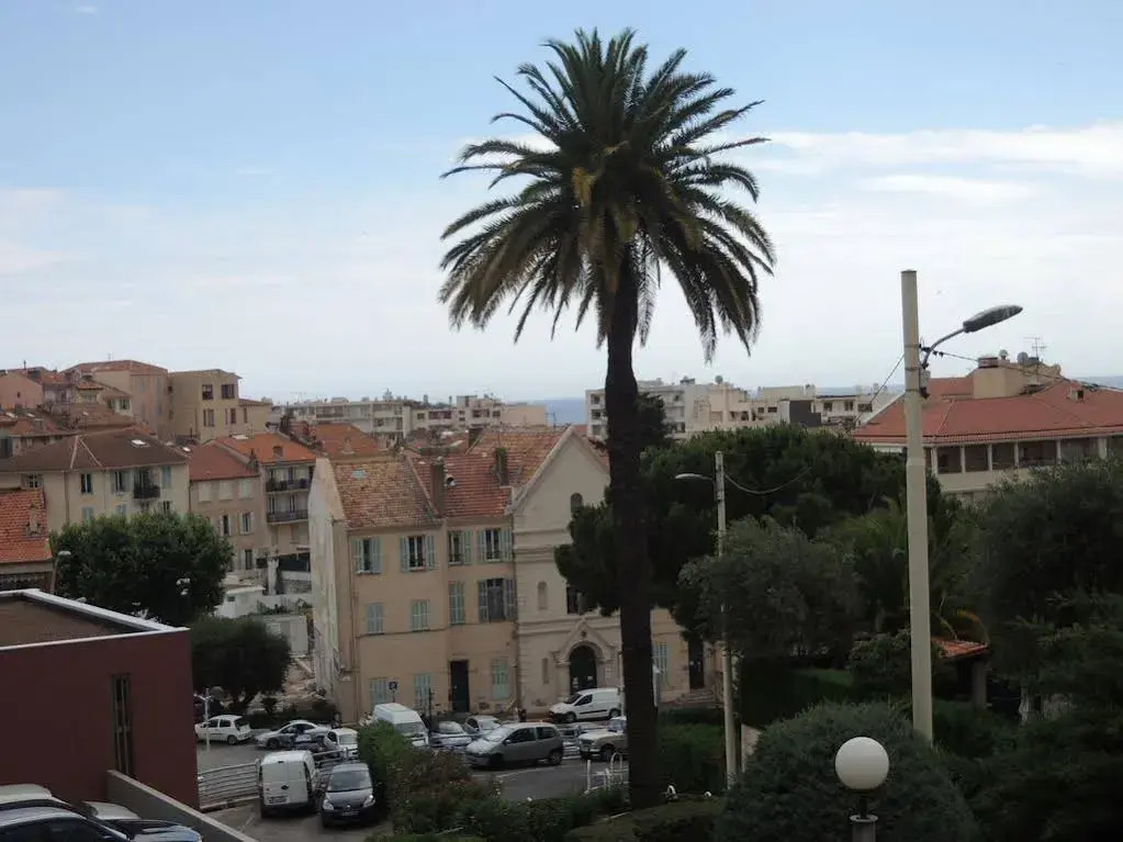 ACCI Cannes Les Yuccas