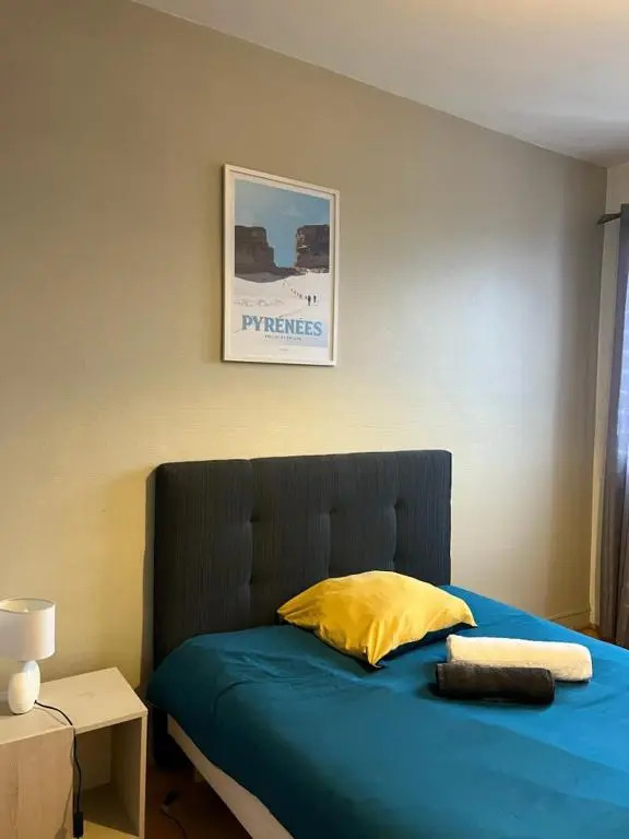 Le Voltaire -2 chambres- 70m2- HYPERCENTRE-Parking-WIFI FIBRE