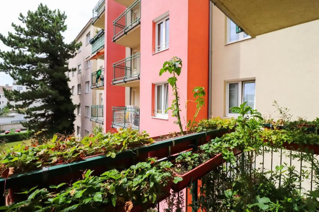 CozyNite Premium Apartment Schönbrunn 2
