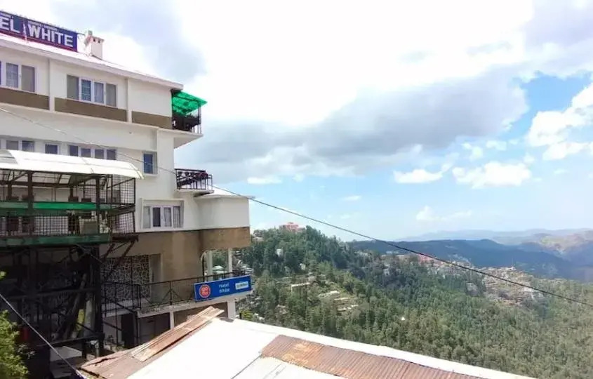 Hotel White