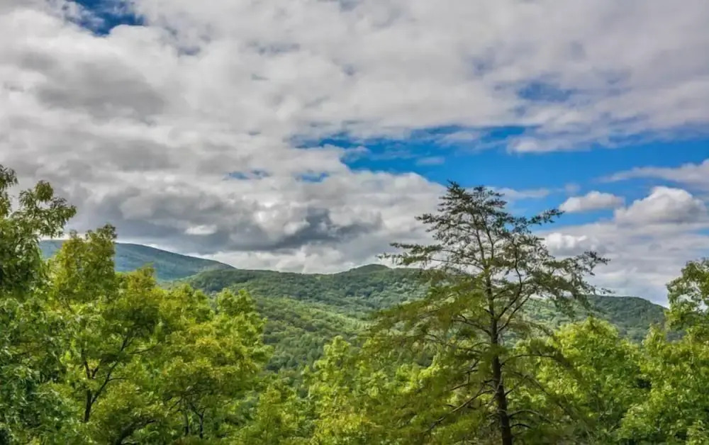 Bucky`s Mountain Vista