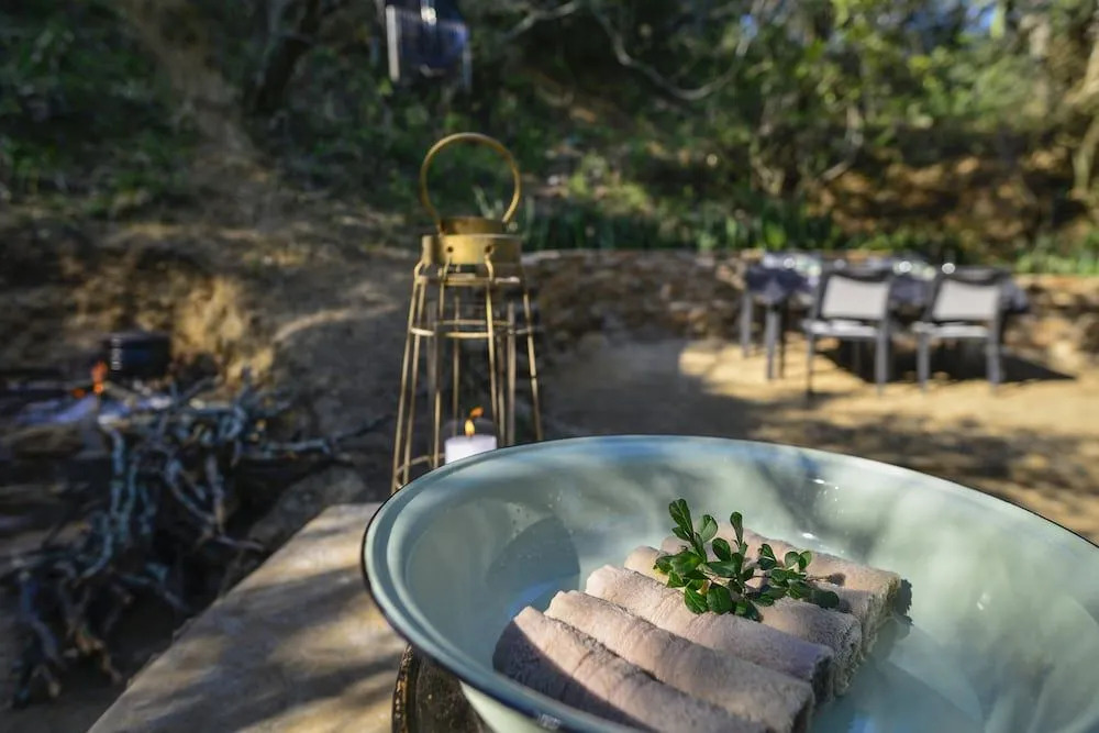Stargazer Camp - Bellevue Forest Reserve