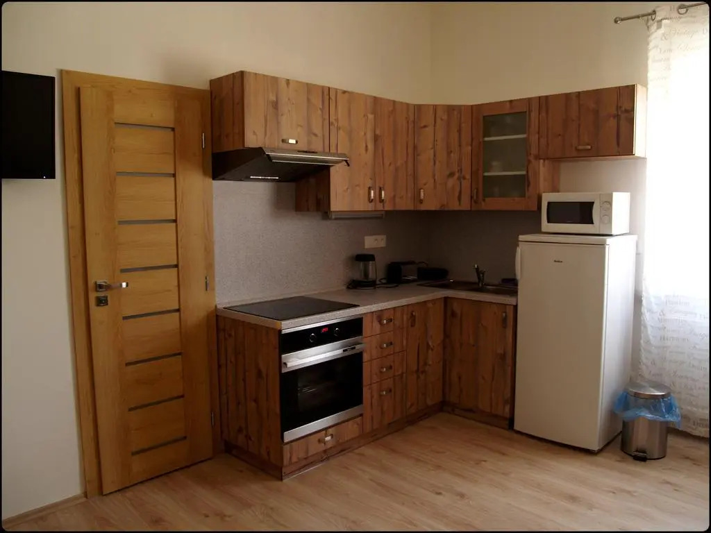Apartment Krále Jiřího