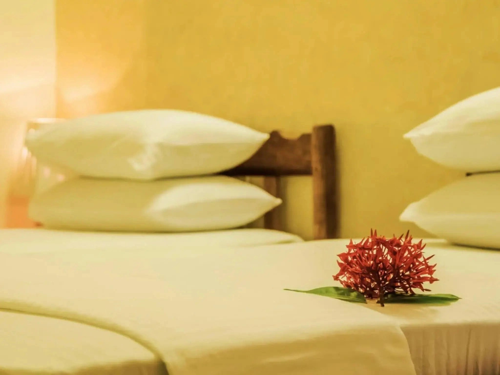 Fima Guesthouse