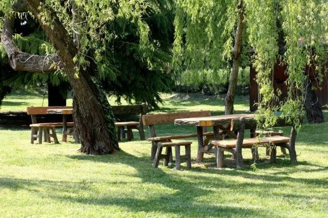 Foresteria Rustico da Bena snc