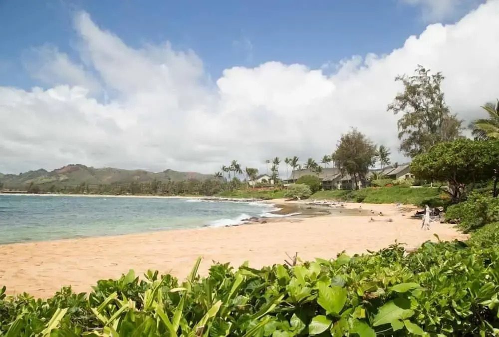 Lae Nani 333, Oceanview, Renovated And Gated 1 Bedroom Condo by RedAwning