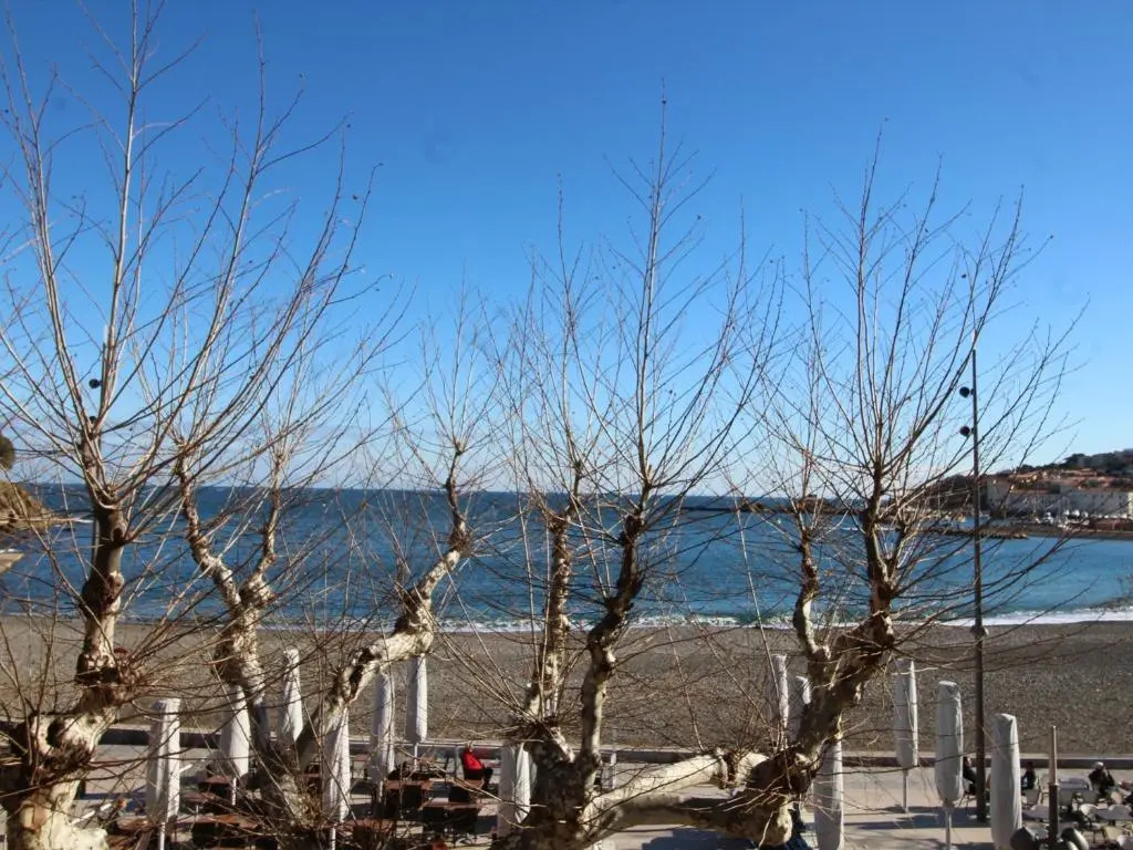 T3 à 50m de la plage, climatisé, Banyuls-sur-Mer - FR-1-309-9