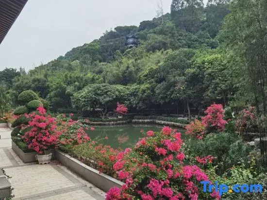 Sandiequan Resort Health Care Center (Chimelong Tourist Resort)