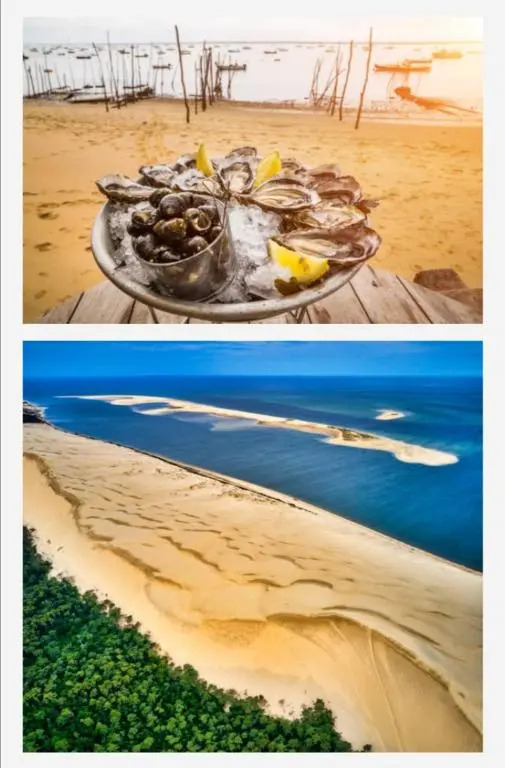 Appartement vue sur baie et océan, 100 m de la plage et du centre par chemin privé