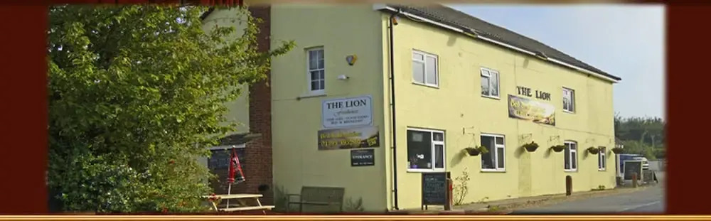 The Lion