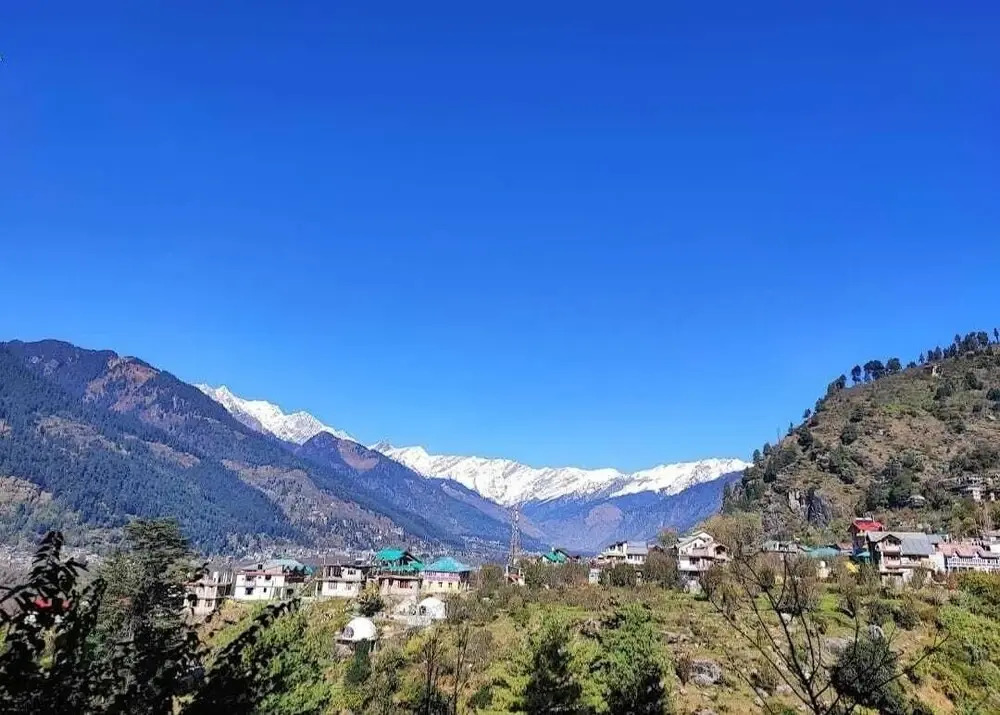 Omavya Hotel Manali