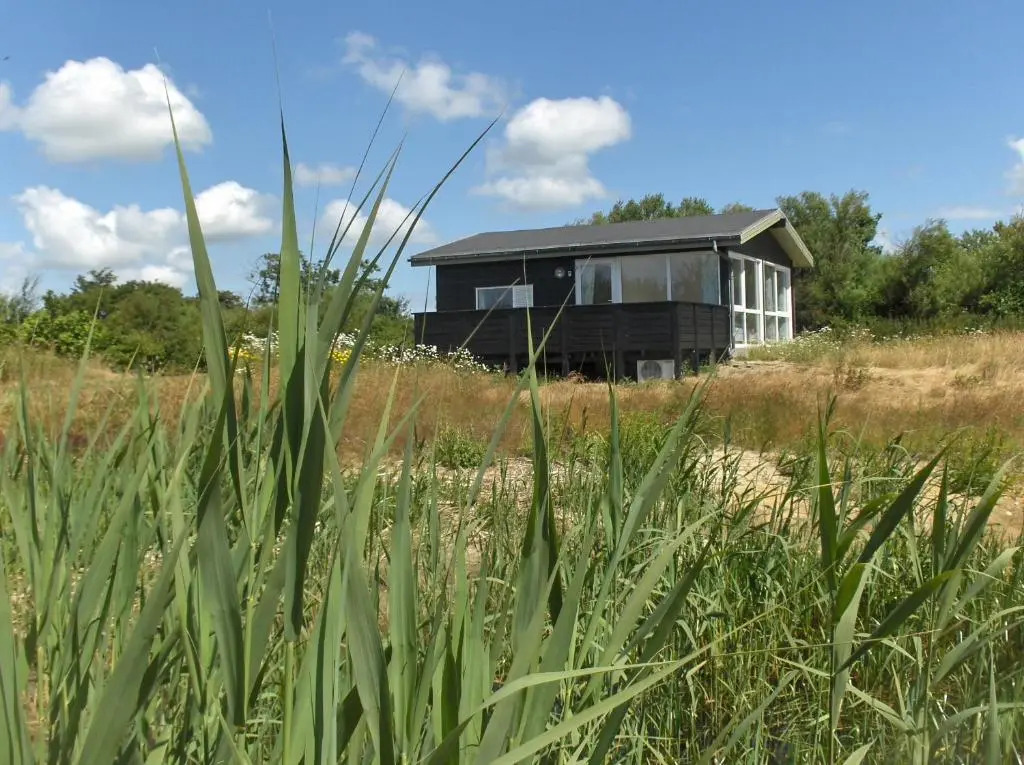Axelgaard Nature Suite
