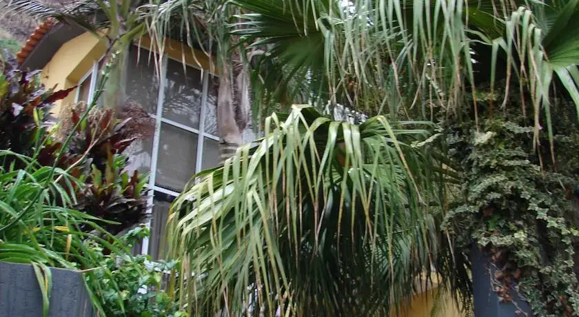 Sofia's Place
