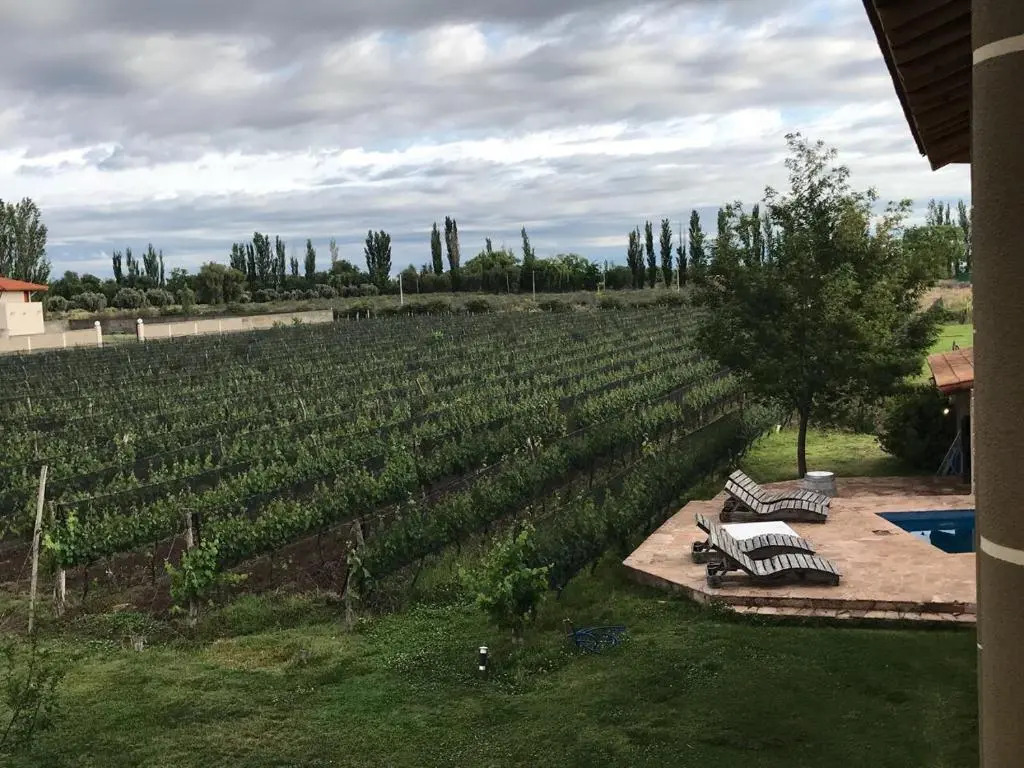 Chaglasian Wine & Suites
