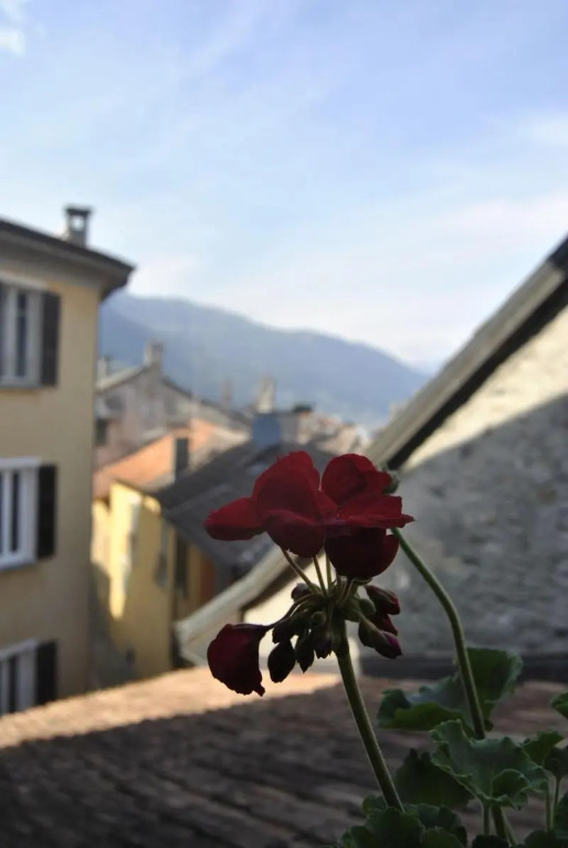Hotel Pironi