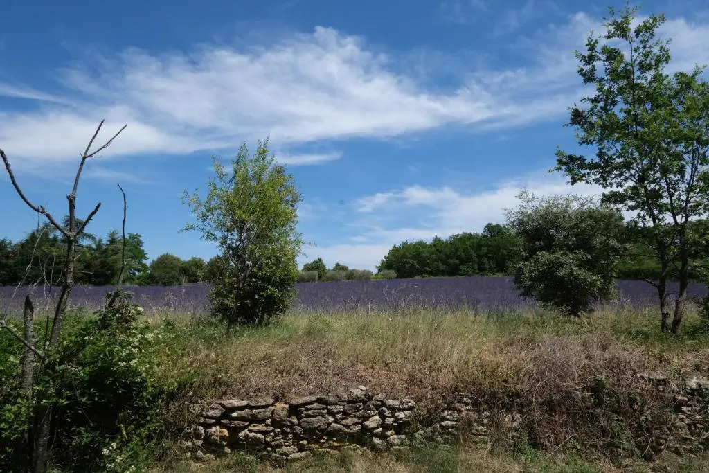 Charming vacation rental with a swimming pool in the heart of Luberon Natural Park,13 people LS2-306 ANDOURETO